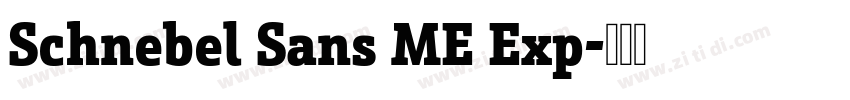 Schnebel Sans ME Exp字体转换